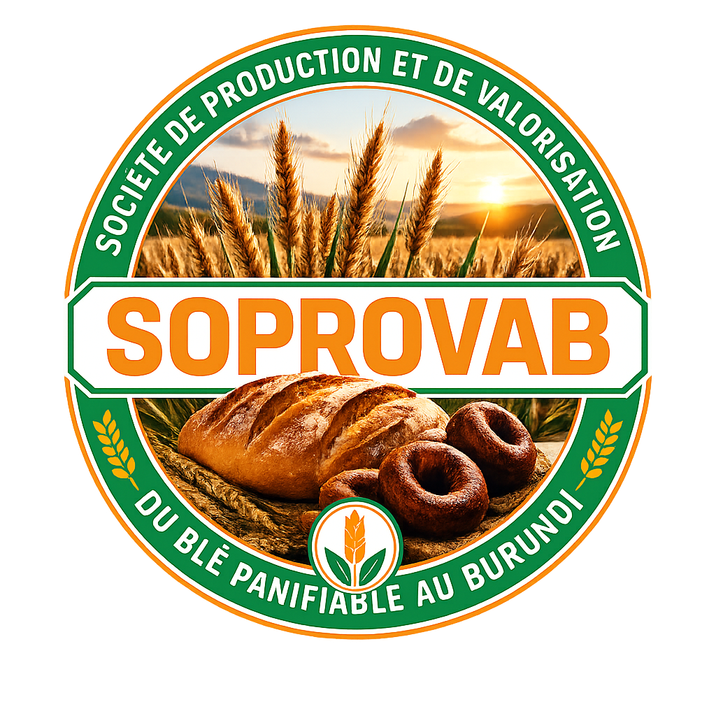 soprovab.com