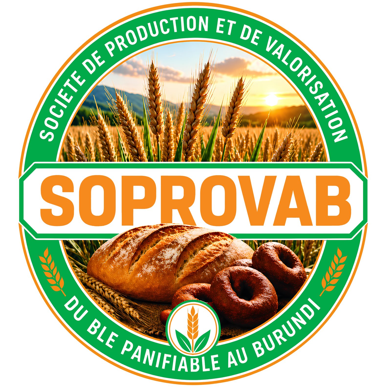 soprovab.com