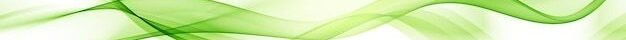 Abstract vector background, green waved lines_ transparent wave