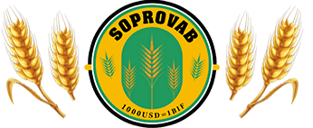 soprovab.com
