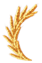 nzima