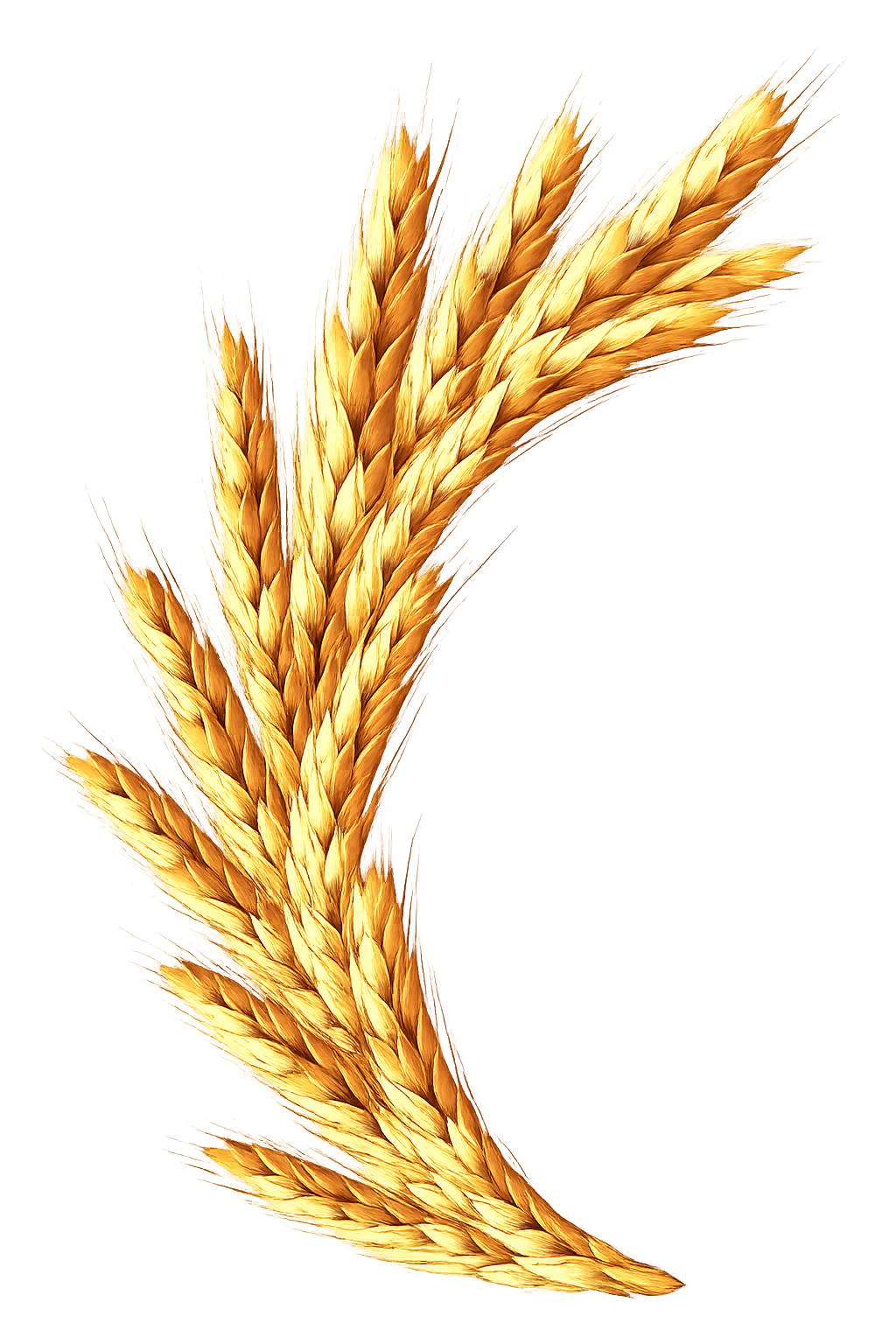 nzima
