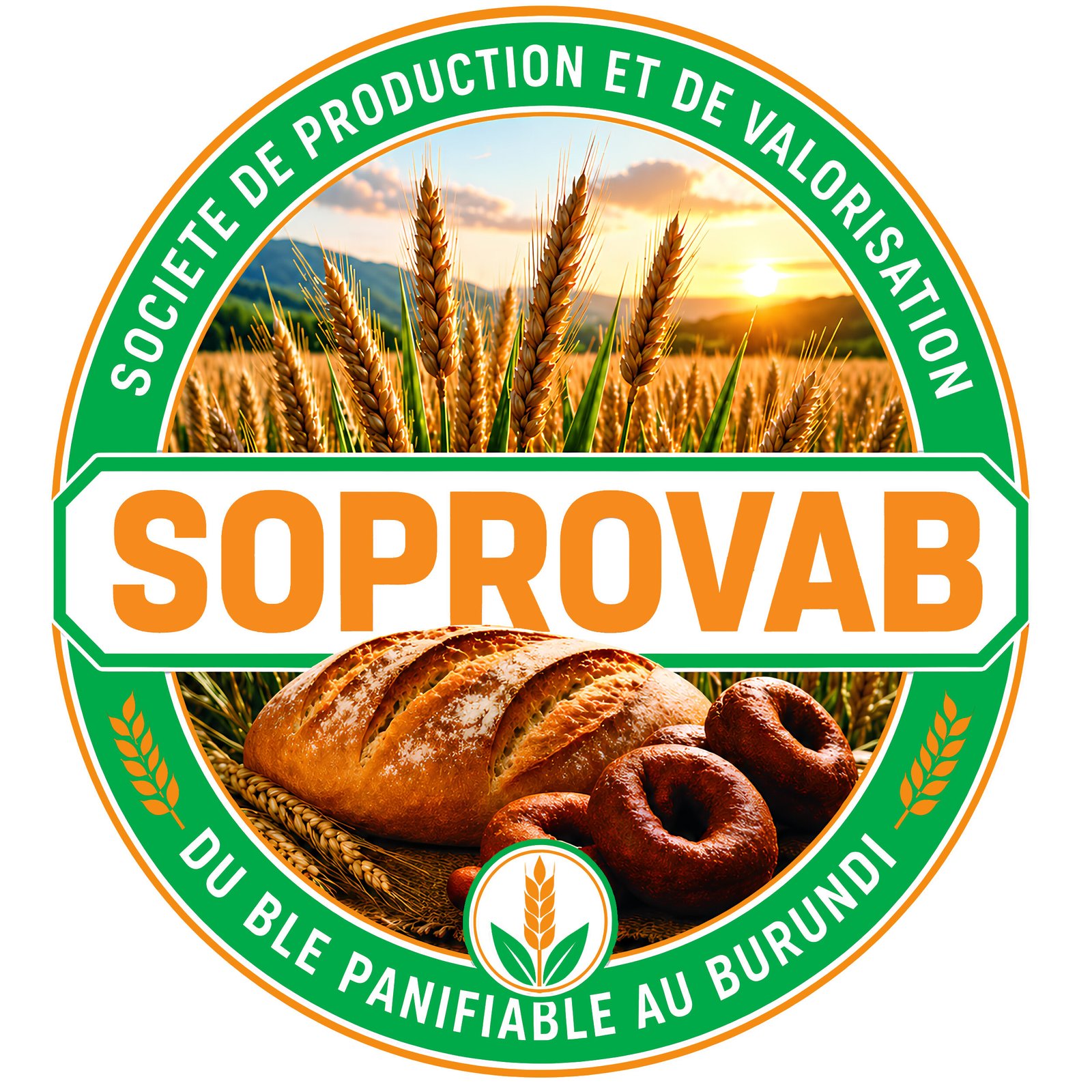 soprovab.com